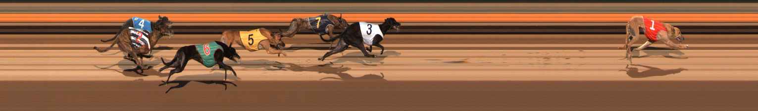 Photo finish for Ballarat Race 7