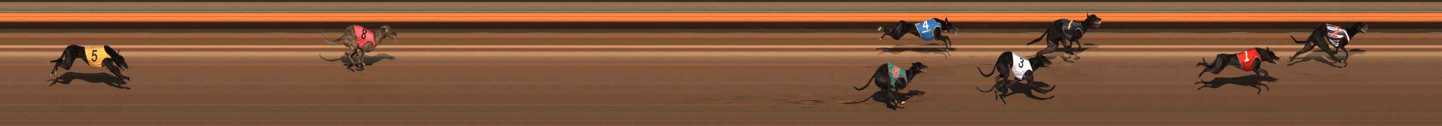 Photo finish for Ballarat Race 8