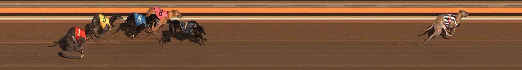 Photo finish for Ballarat Race 11