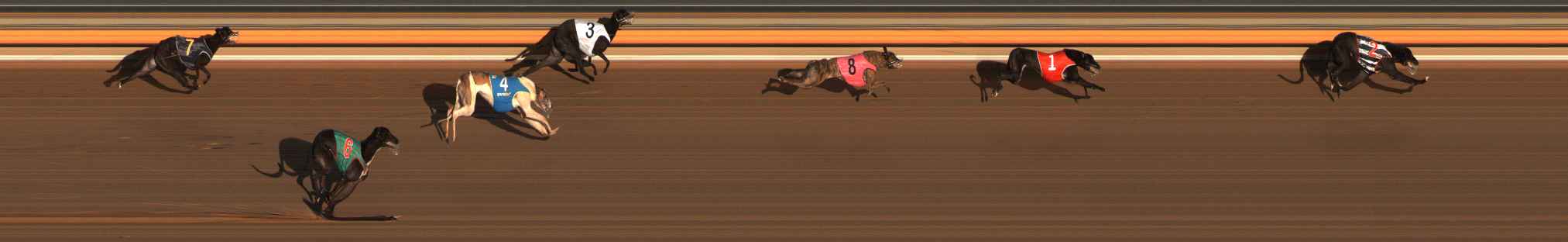 Photo finish for Ballarat Race 12