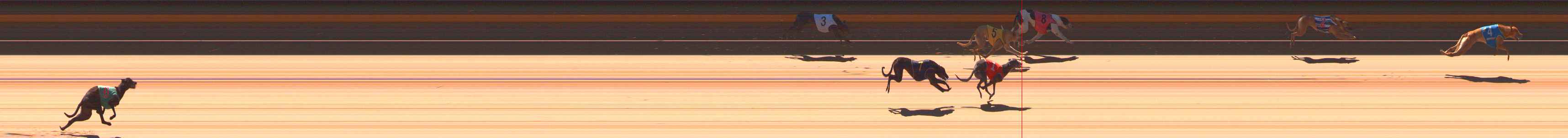 Photo finish for Ballarat Race 2
