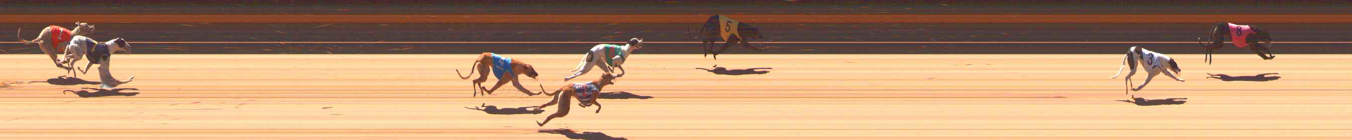 Photo finish for Ballarat Race 3