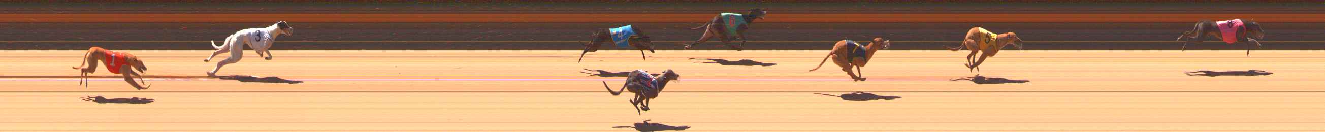 Photo finish for Ballarat Race 4