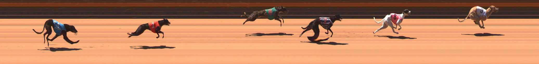 Photo finish for Ballarat Race 6