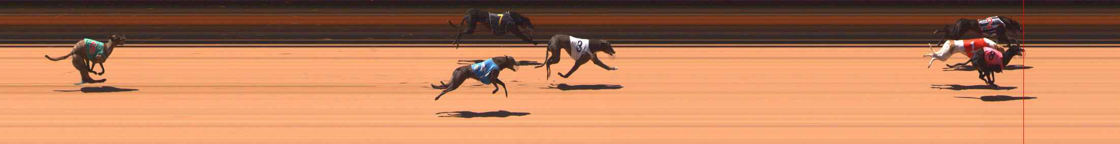 Photo finish for Ballarat Race 7