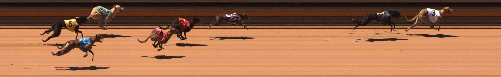 Photo finish for Ballarat Race 8