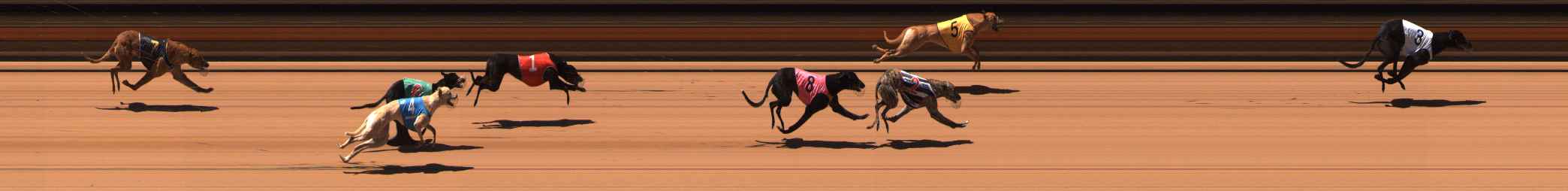 Photo finish for Ballarat Race 9