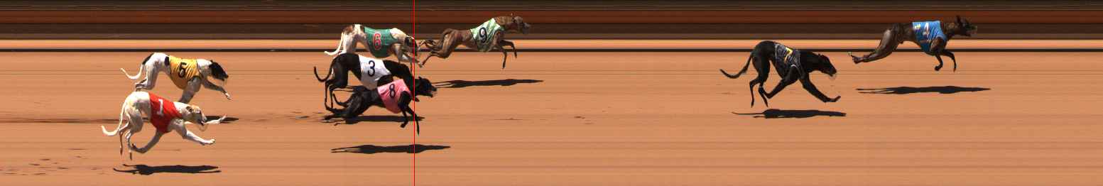 Photo finish for Ballarat Race 10