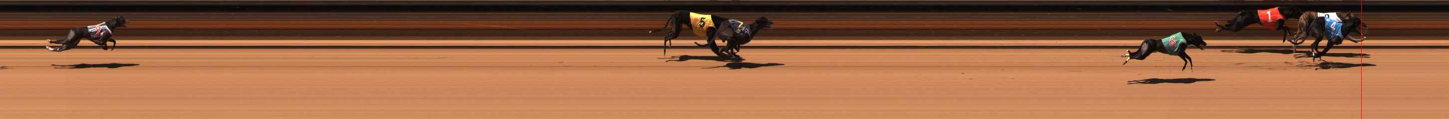 Photo finish for Ballarat Race 11
