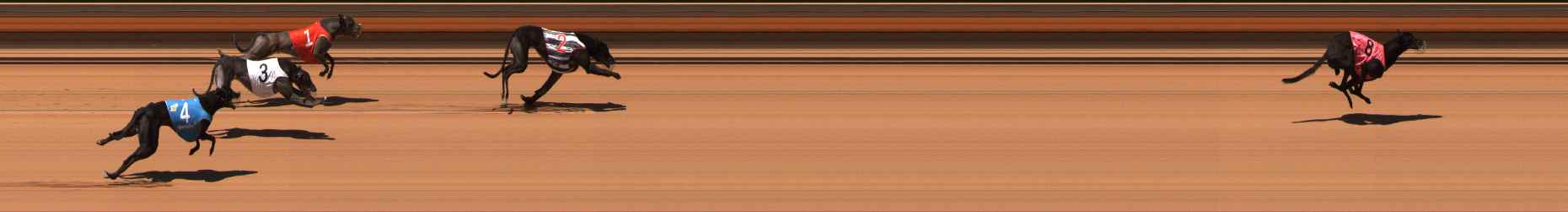 Photo finish for Ballarat Race 12