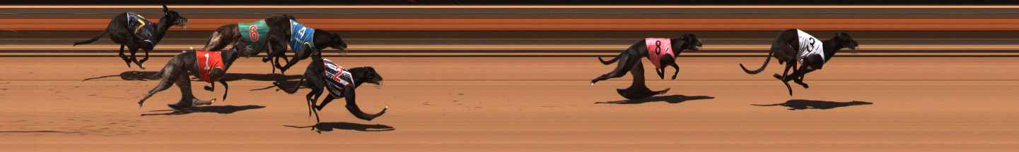 Photo finish for Ballarat Race 13