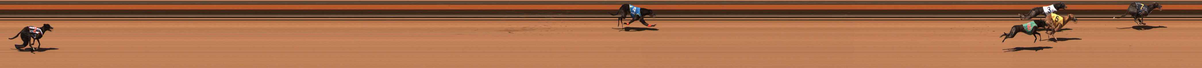 Photo finish for Ballarat Race 14