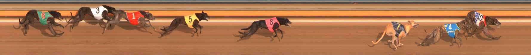 Photo finish for Ballarat Race 1