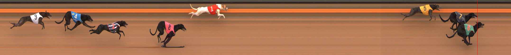 Photo finish for Ballarat Race 2