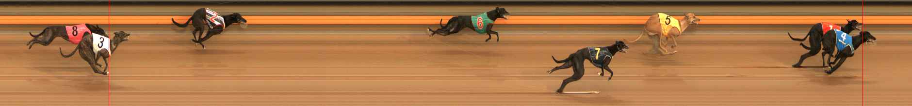 Photo finish for Ballarat Race 6