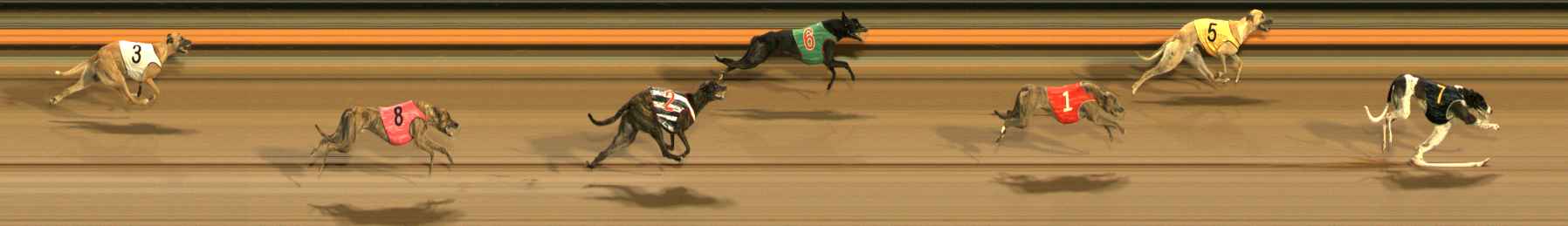 Photo finish for Ballarat Race 8