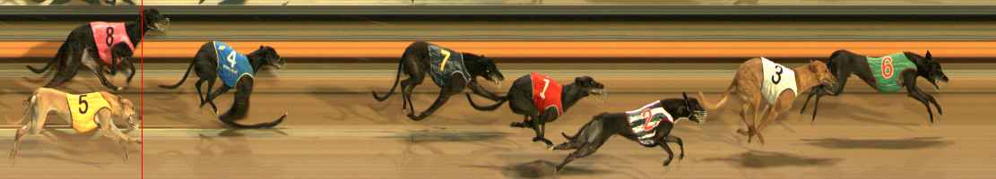 Photo finish for Ballarat Race 9