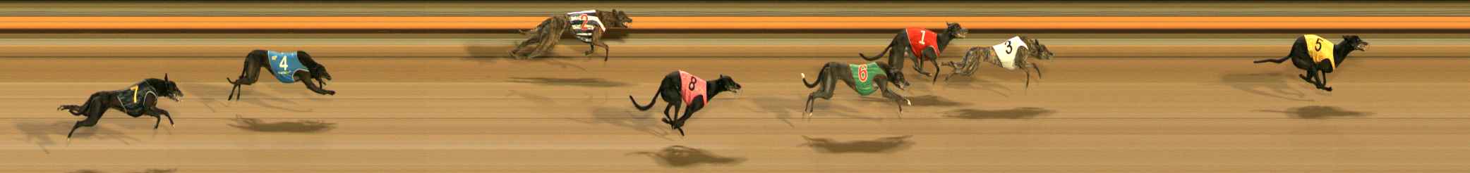 Photo finish for Ballarat Race 10