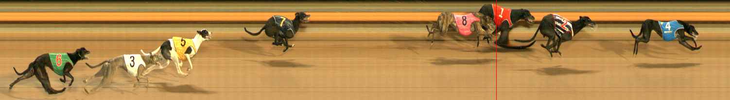 Photo finish for Ballarat Race 12