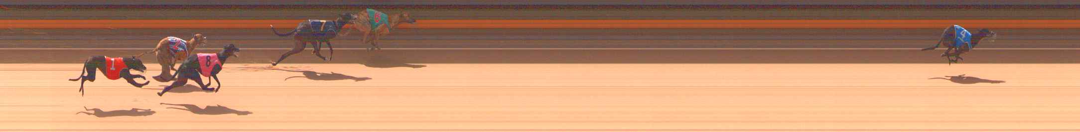 Photo finish for Ballarat Race 1