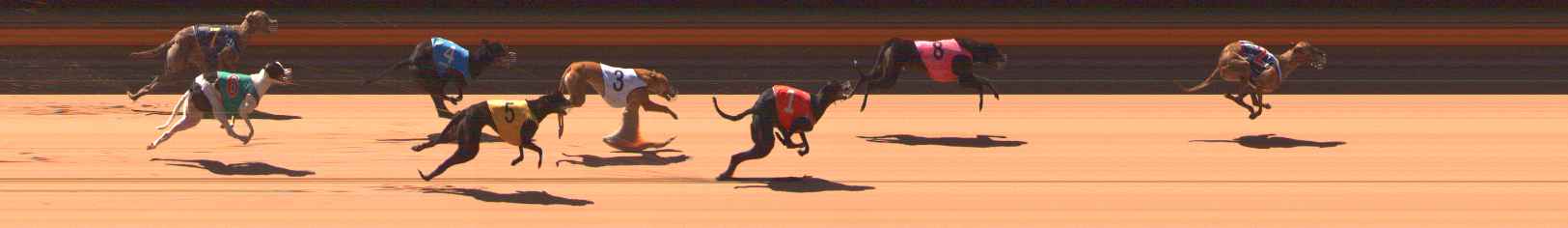 Photo finish for Ballarat Race 3