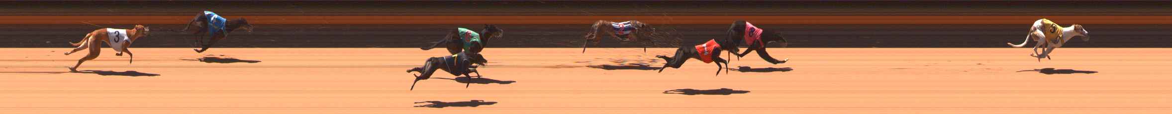 Photo finish for Ballarat Race 5