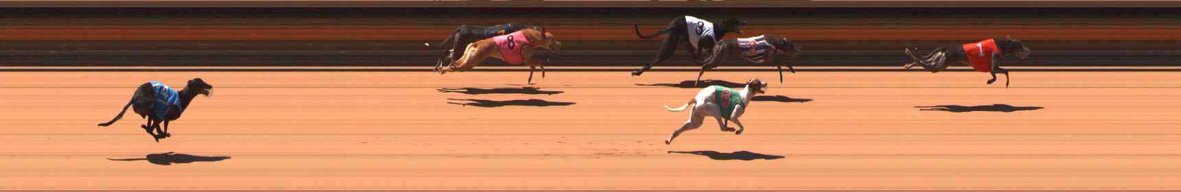 Photo finish for Ballarat Race 6