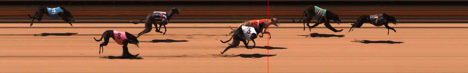 Photo finish for Ballarat Race 8