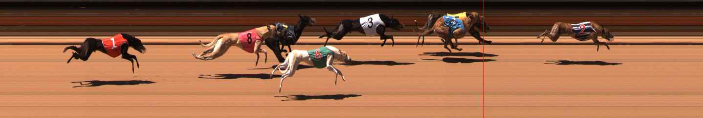 Photo finish for Ballarat Race 9