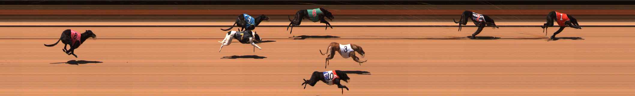 Photo finish for Ballarat Race 10