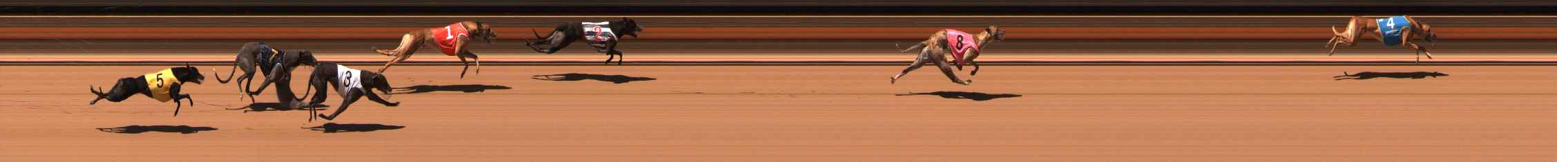 Photo finish for Ballarat Race 11