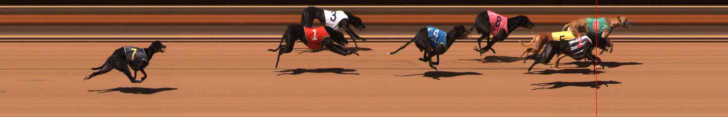 Photo finish for Ballarat Race 12