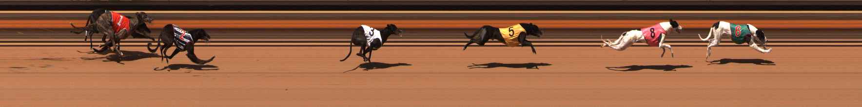 Photo finish for Ballarat Race 13