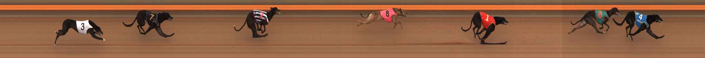 Photo finish for Ballarat Race 1