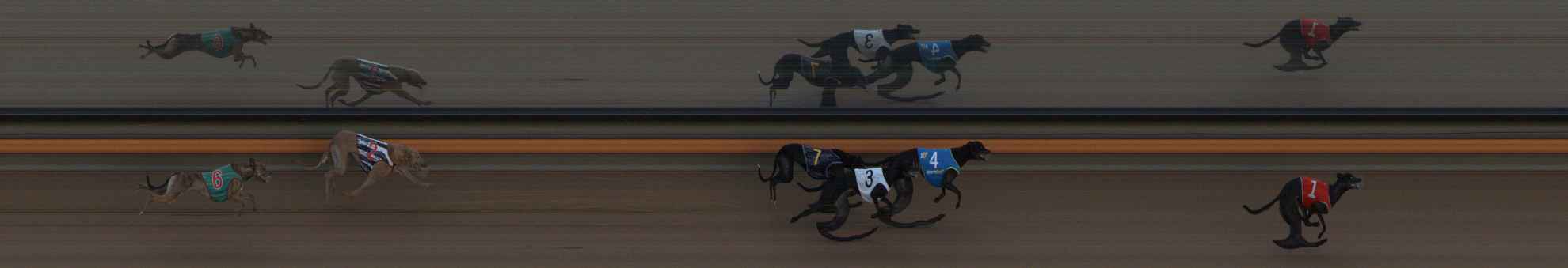 Photo finish for Ballarat Race 5
