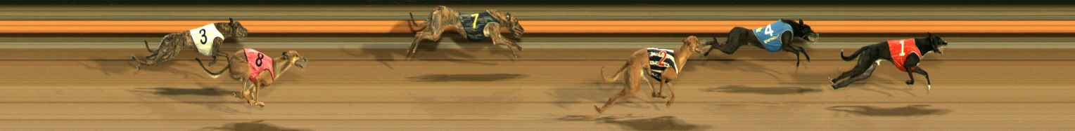 Photo finish for Ballarat Race 8
