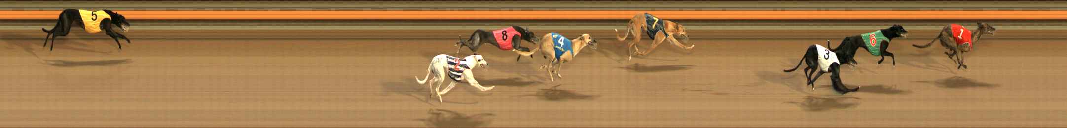 Photo finish for Ballarat Race 8