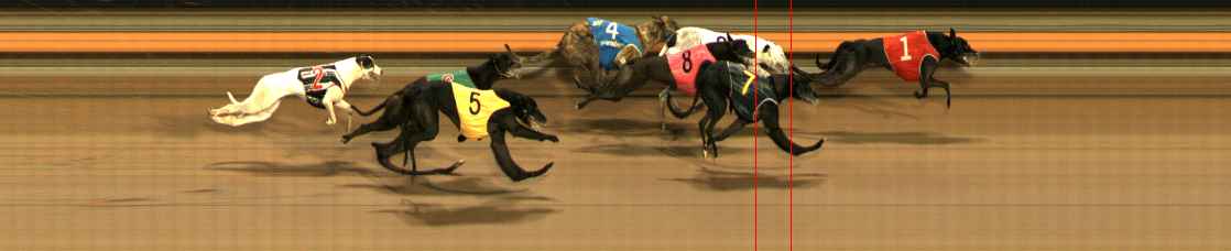 Photo finish for Ballarat Race 9
