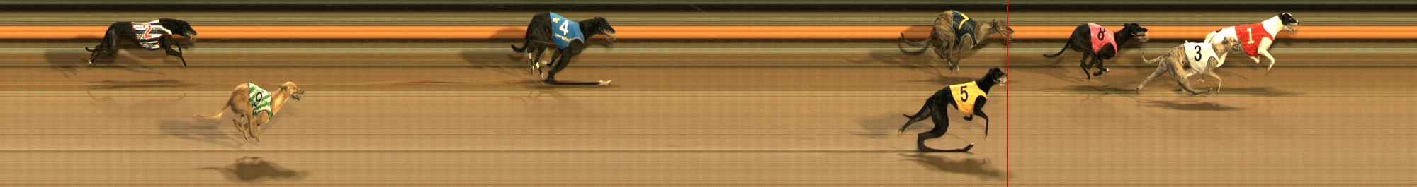 Photo finish for Ballarat Race 12