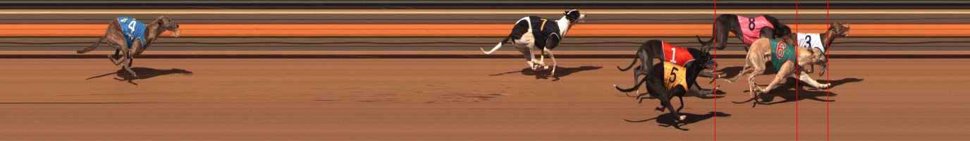 Photo finish for Ballarat Race 5