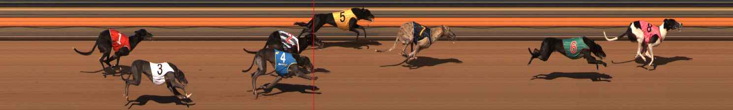 Photo finish for Ballarat Race 6