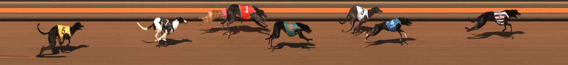 Photo finish for Ballarat Race 7