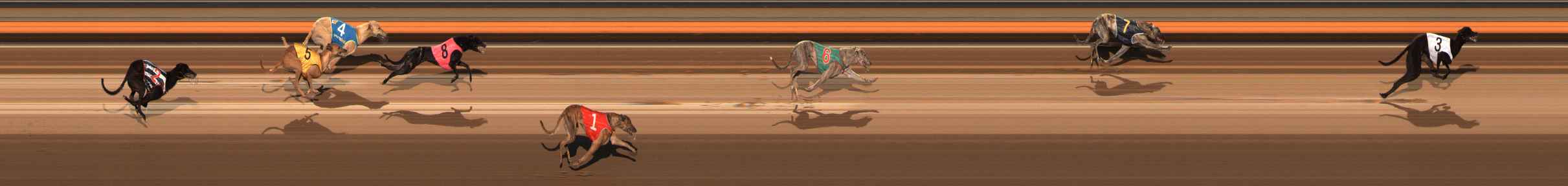 Photo finish for Ballarat Race 10