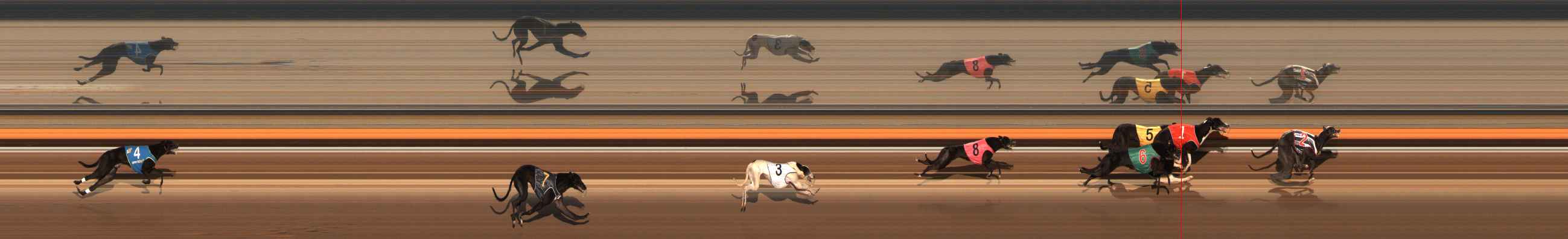 Photo finish for Ballarat Race 11