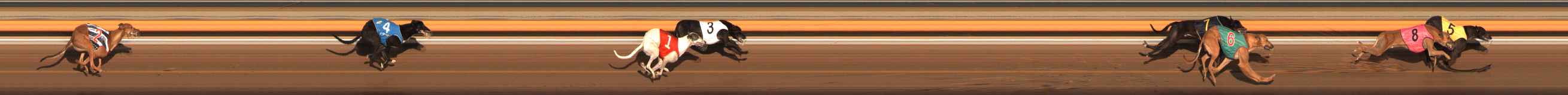 Photo finish for Ballarat Race 12