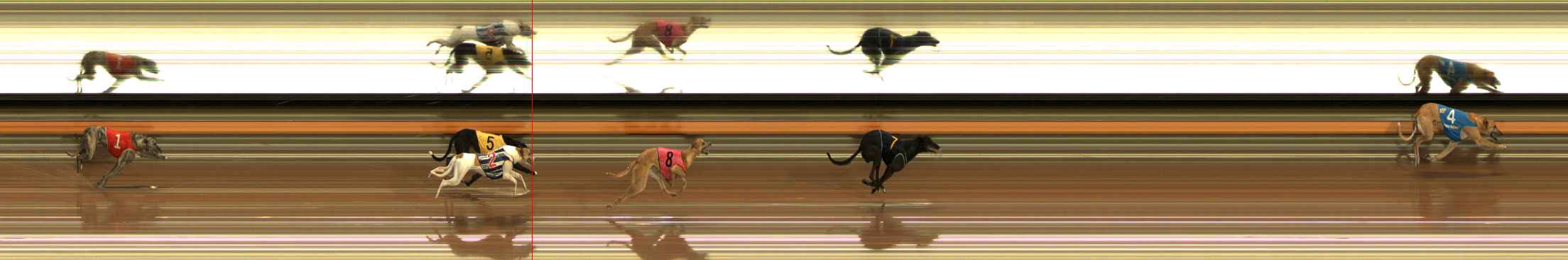 Photo finish for Ballarat Race 2