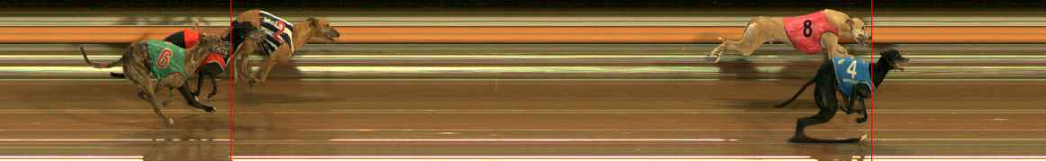 Photo finish for Ballarat Race 4