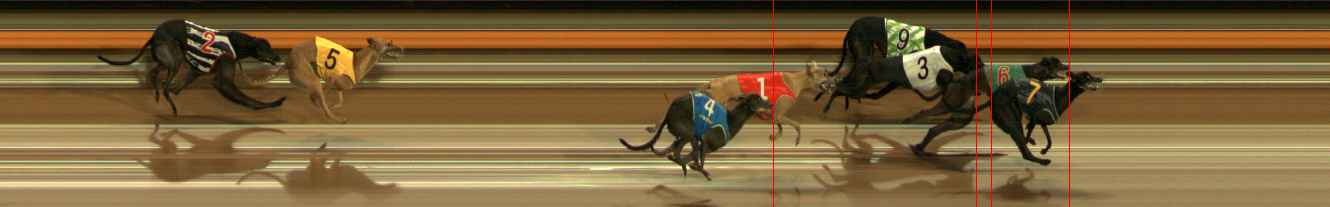 Photo finish for Ballarat Race 6