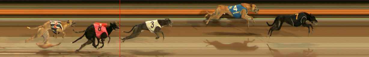 Photo finish for Ballarat Race 7