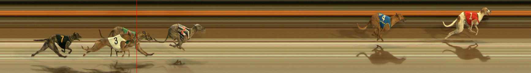 Photo finish for Ballarat Race 8